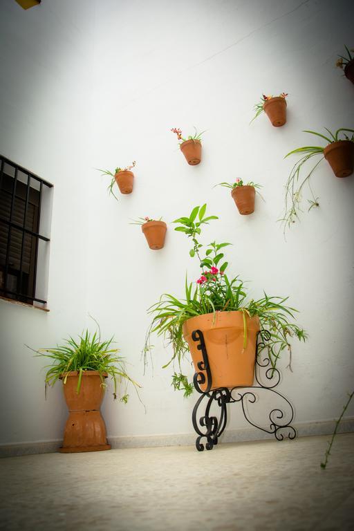 Hostal Malia Conil De La Frontera Ngoại thất bức ảnh